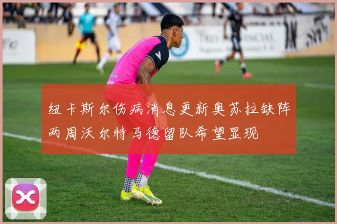 纽卡斯尔伤病消息更新奥苏拉缺阵两周沃尔特马德留队希望显现