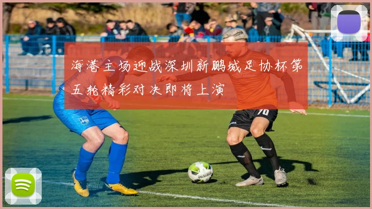 海港主场迎战深圳新鹏城足协杯第五轮精彩对决即将上演